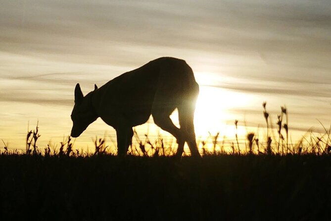 private-guided-hike-sunset-on-pen-y-fan-in-the-brecon-beacons