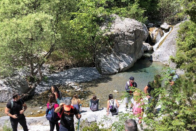 private-guided-hiking-in-mt-olympus-national-park