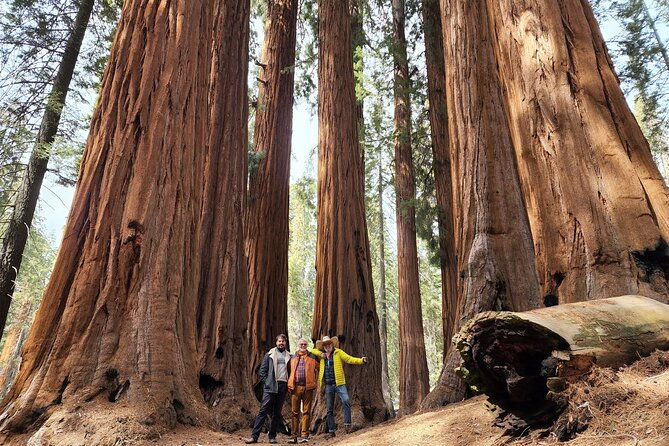 private-guided-hiking-tour-sequoia-national-park-2