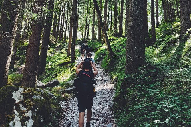 private-guided-hiking-tour-sequoia-national-park-2