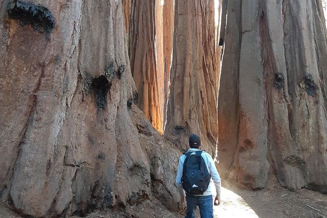 private-guided-hiking-tour-sequoia-national-park-2