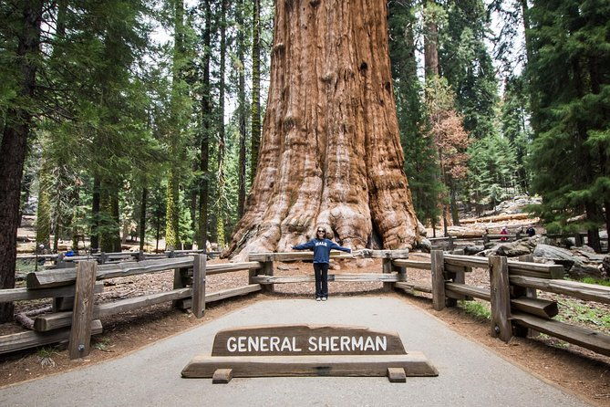 private-guided-hiking-tour-sequoia-national-park