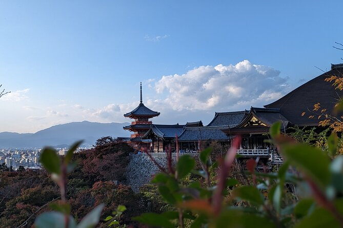 private-guided-historical-sightseeing-tour-in-kyoto