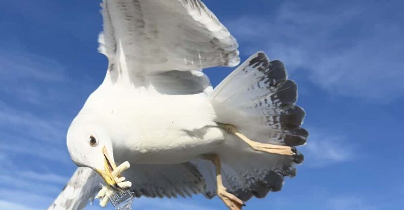 private-guided-istanbul-luxury-tour-tickets-and-transfers