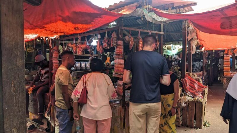 Private Guided Jozani Forest and Stone Town with Tickets - Exploring Jozani Forest: An Up-Close Look at Zanzibar’s Natural Sanctuary