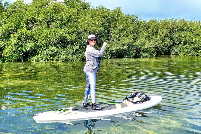 private-guided-kayak-or-sup-eco-adventure
