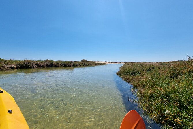 private-guided-kayak-tour-birdwatching-nature-tour