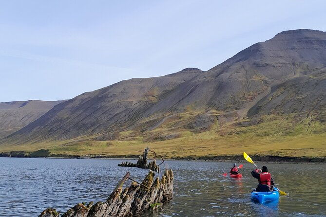 private-guided-kayak-tour-in-siglufjordur-siglufjordur
