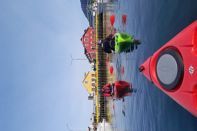 private-guided-kayak-tour-in-siglufjordur-siglufjordur