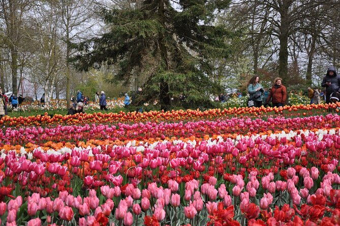 private-guided-keukenhof-gardens-and-zaanse-schans-tour