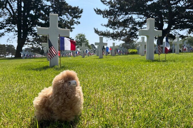 private-guided-mont-saint-michel-d-day-tour-from-paris