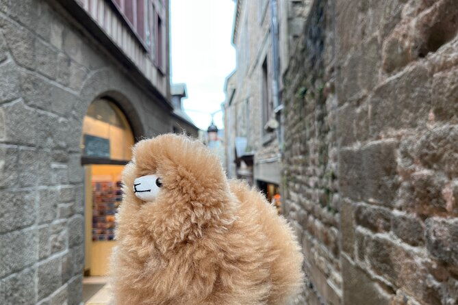 private-guided-mont-saint-michel-d-day-tour-from-paris