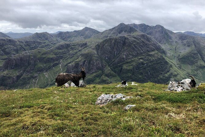 private-guided-mountain-walking-experience-in-the-cairngorms-2