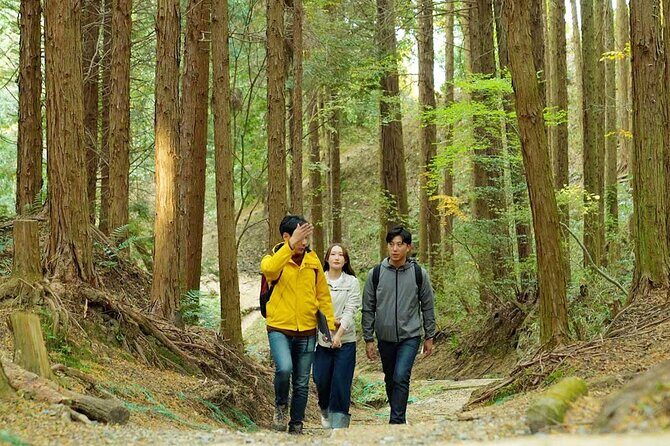 Private Guided Mt. Kunimi Trek - First Impressions