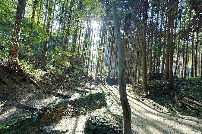 Private Guided Mt. Kunimi Trek - Key Points