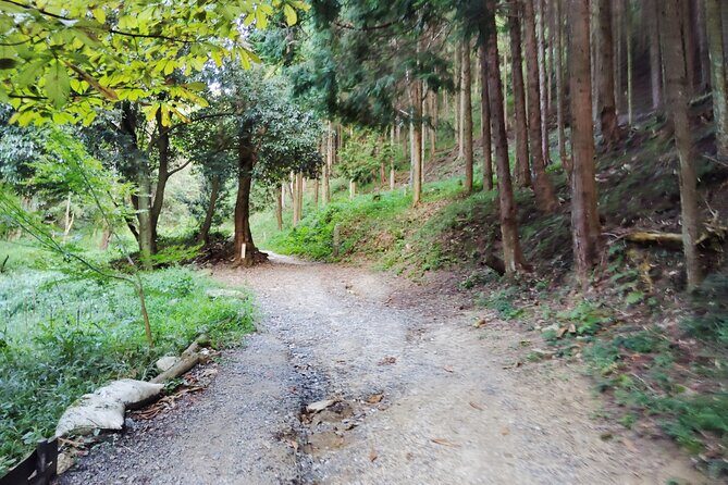 Private Guided Mt. Kunimi Trek - Practical Details & Tips