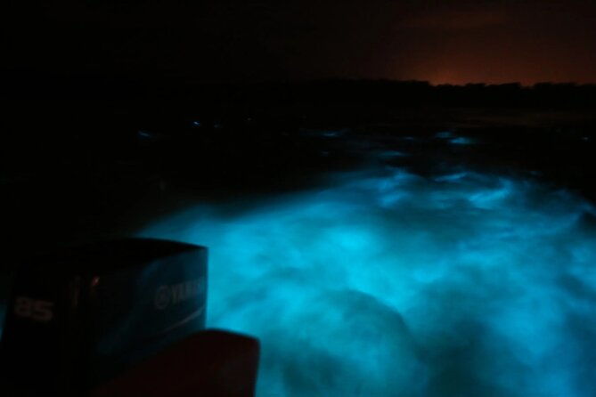 private-guided-night-tour-of-luminous-lagoon-in-montego-bay