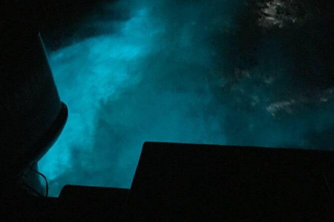 private-guided-night-tour-of-luminous-lagoon-in-montego-bay