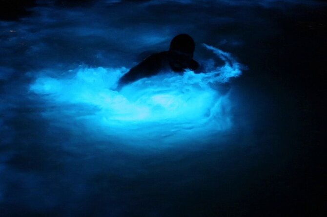 private-guided-night-tour-of-luminous-lagoon-in-montego-bay