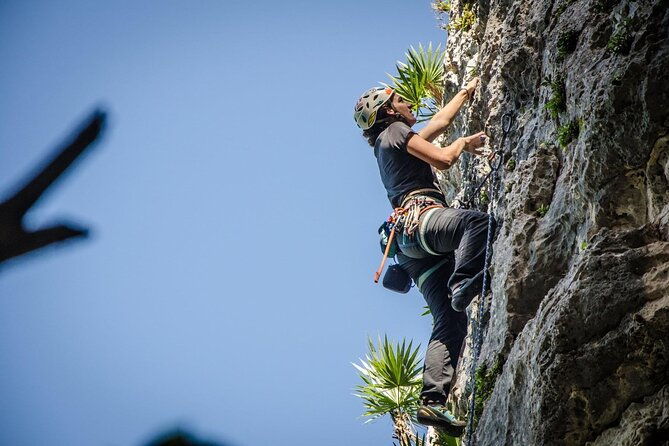 private-guided-rock-climbing-trips-in-puerto-rico