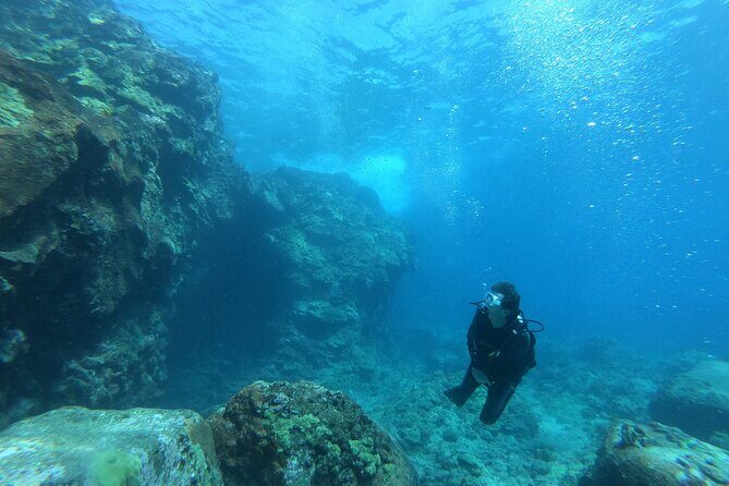 Private Guided Shore Dive - Why Choose the Private Shore Dive on Hawaii’s Big Island?
