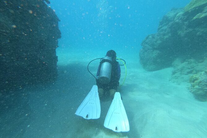 Private Guided Shore Dive - What’s Included & What’s Not