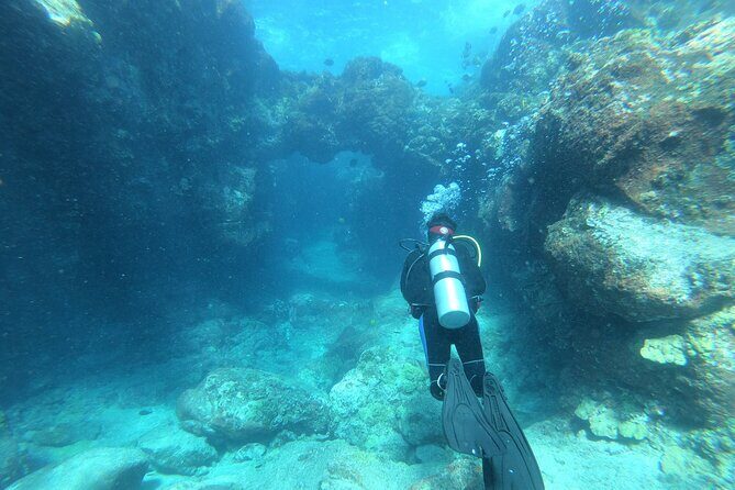 Private Guided Shore Dive - Meeting Point & Logistics