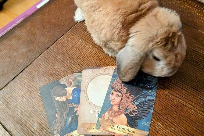 private-guided-tarot-tour-in-st-augustine
