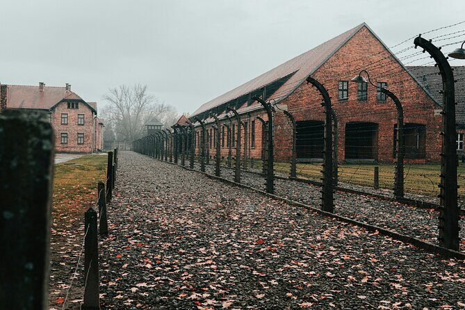 Private Guided Tour Auschwitz Birkenau with Transport from Krakow - Who Should Consider This Tour?