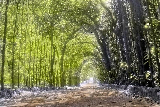 private-guided-tour-boboli-gardens-of-the-royal-palace-and-hidden-messages-2