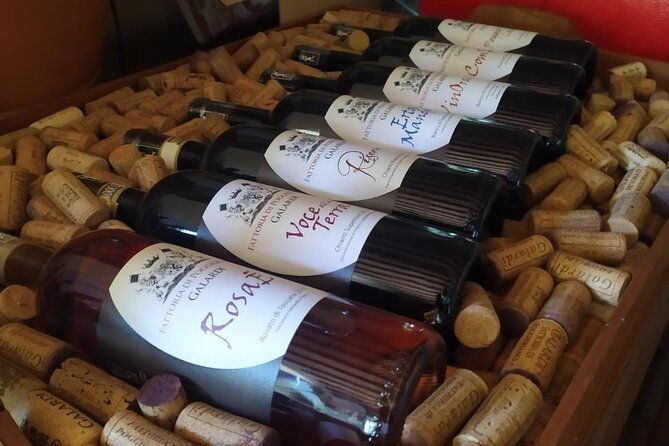 private-guided-tour-by-e-bike-and-electric-mtb-in-fiesole