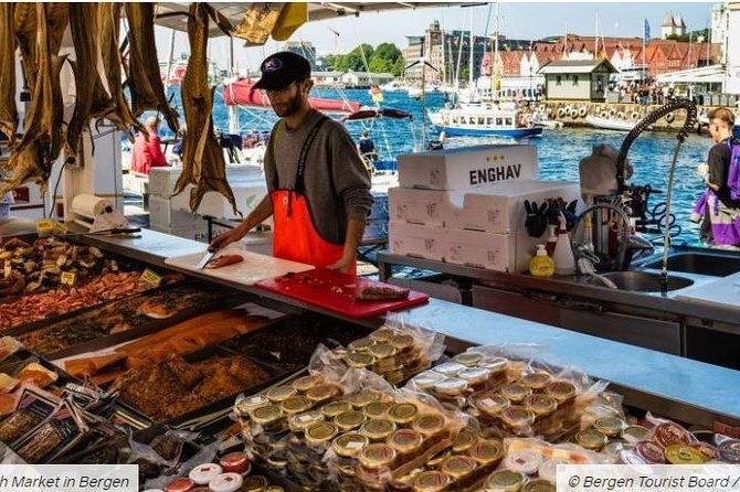 private-guided-tour-city-sightseeing-bergens-top-attractions-4