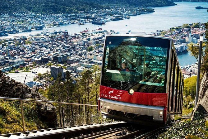 private-guided-tour-city-sightseeing-bergens-top-attractions
