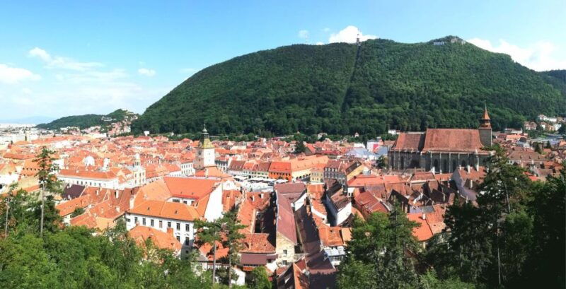 private-guided-tour-draculas-castle-bear-sanctuary