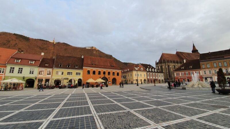 private-guided-tour-draculas-castle-bear-sanctuary