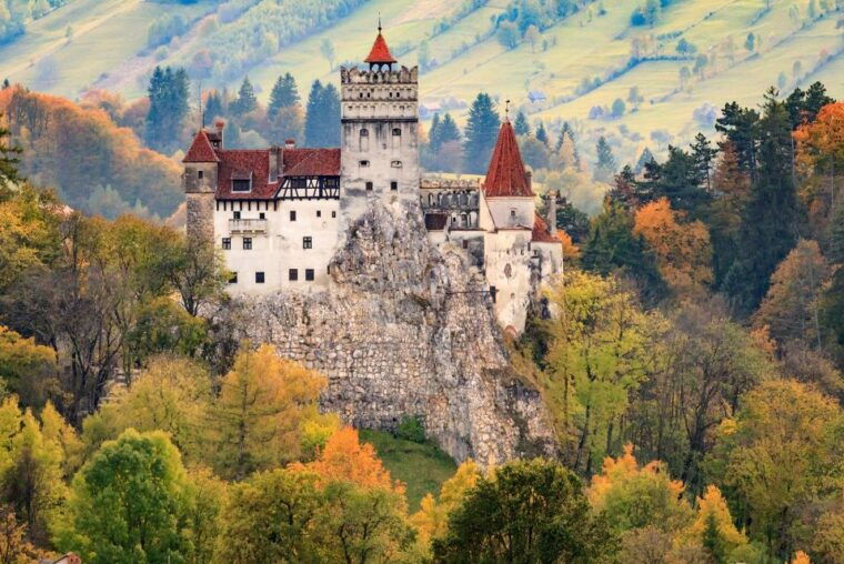 private-guided-tour-draculas-castle-bear-sanctuary