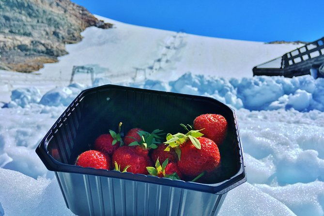 private-guided-tour-folgefonna-glacier-roundtrip-from-bergen-8-hours