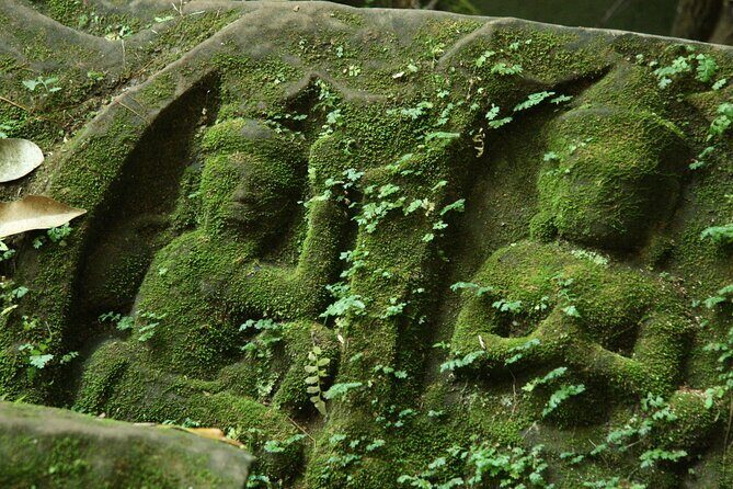 Private Guided Tour from Siem Reap to Beng Mealea Temple - An In-Depth Look at the Beng Mealea Tour