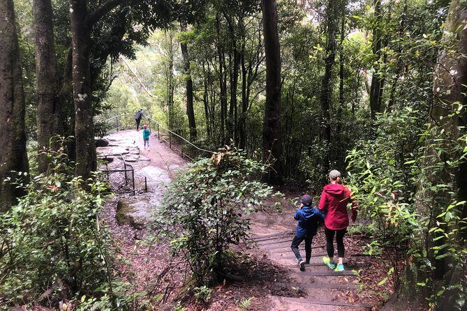 Private Guided Tour from Sydney to Blue Mountains National Park - Authentic Experiences Highlighted by Reviewers