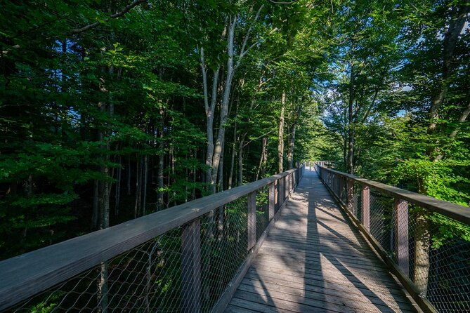 private-guided-tour-from-vienna-to-hallstatt-with-cable-car-treetop-in-gmunden