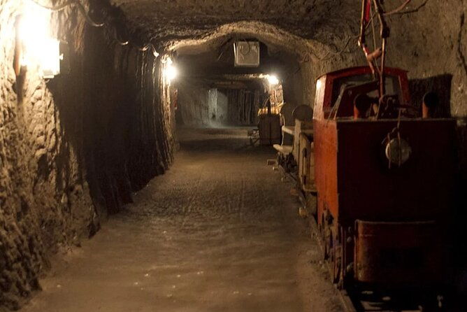 private-guided-tour-from-vienna-to-hallstatt-with-skywalk-salt-mine-experience