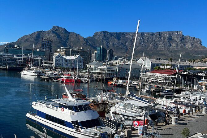 Private Guided Tour in Cape of Good Hope and Table Mountain - Maiden’s Cove and Perfect Photo Spots