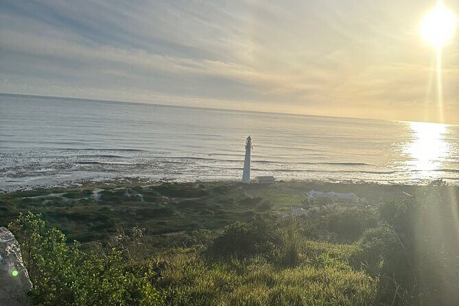 Private Guided Tour in Cape of Good Hope and Table Mountain - Noordhoek Farm Village: A Taste of Local Charm