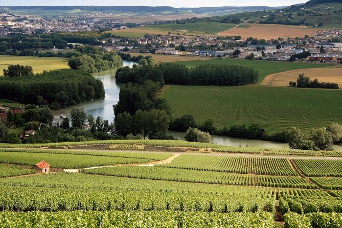 Private Guided Tour in Champagne from Paris with Moet&Chandon visit. - The Experience: What to Expect from Start to Finish