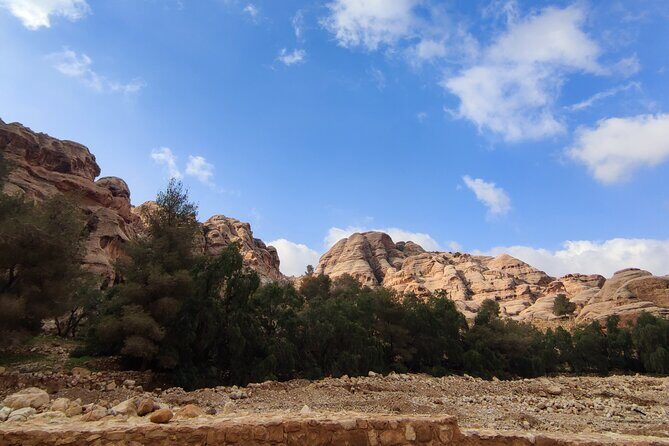 Private Guided Tour in Petra with licensed guide - Key Points