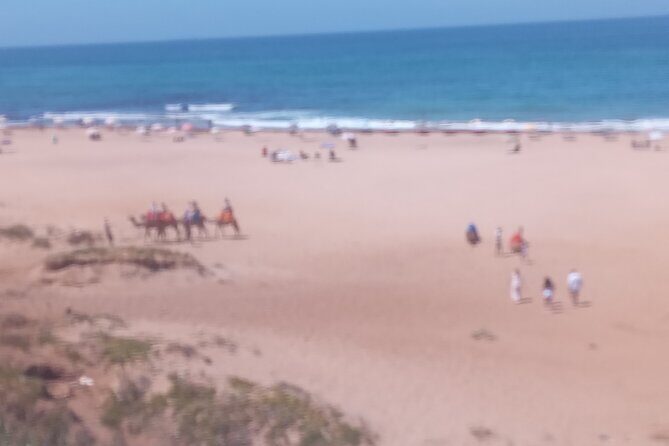 Private Guided Tour in Tangier - Price & Value Analysis