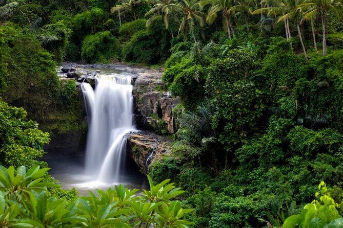 Private Guided Tour in Ubud - The Experience Through the Eyes of Past Travelers