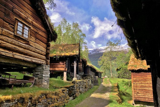 private-guided-tour-norways-highlights-viking-special-11-12-hours-summer