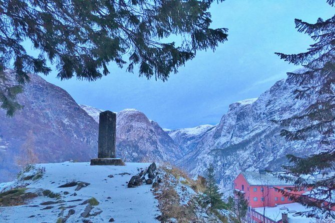 private-guided-tour-norways-highlights-viking-special-11-12-hours-winter
