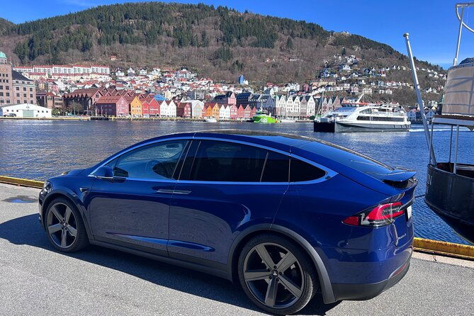 private-guided-tour-of-bergen-and-the-best-of-norwegian-fjords